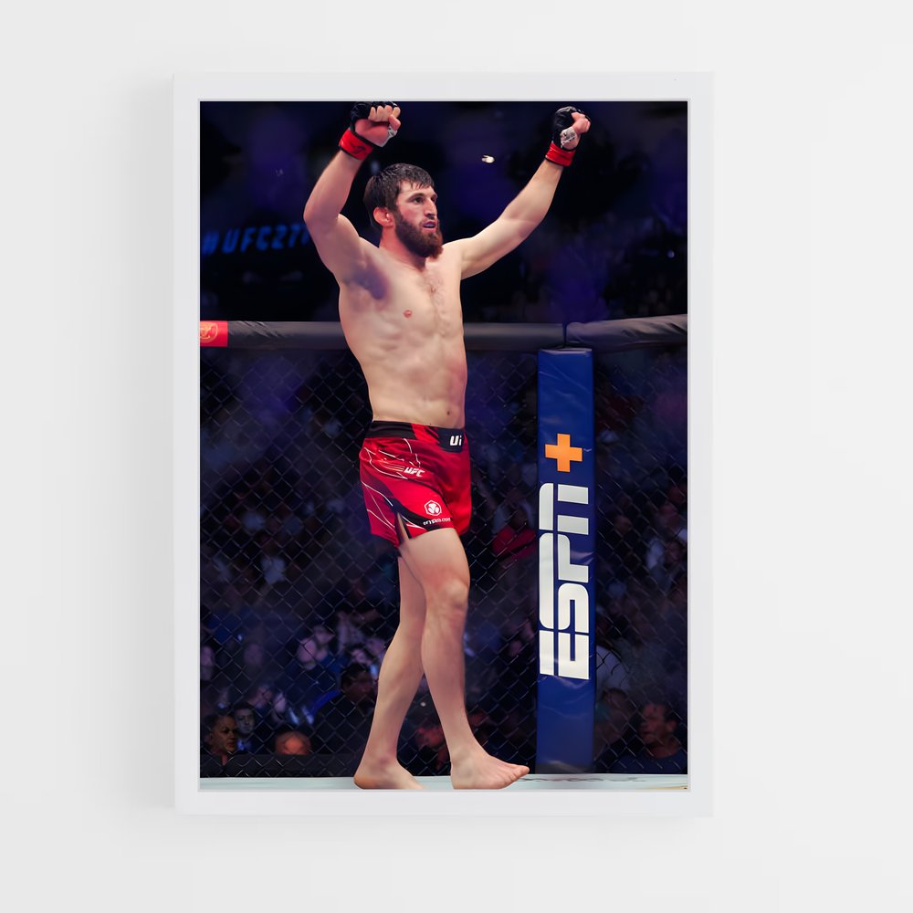 Poster Magomed ankalaev relever – affiche MMA (vue 3)